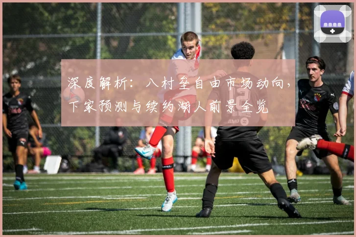 深度解析：八村垒自由市场动向，下家预测与续约湖人前景全览